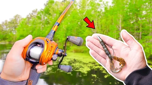 Catching GIANT Bass - IS IT A DOUBLE DIGIT?! (Spring Fishing)