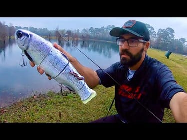 GIANT BASS FISHING  after 1000 TROUT WERE STOCKED!