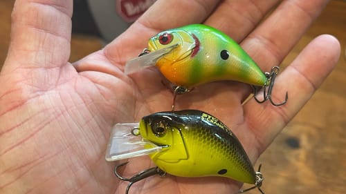 Do Custom Painted Colors Work Better Than Stock Ones?
