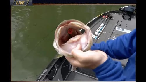 Best of Lake Hartwell - Bassmaster Elite Series