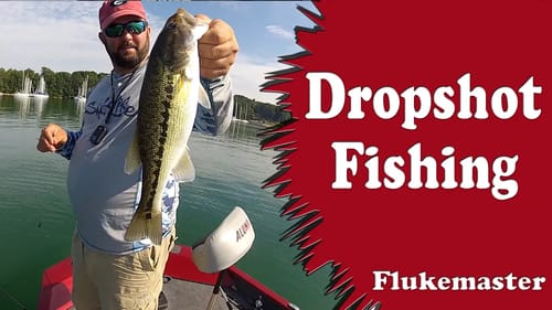Dropshot Bass Fishing - Like Playing a Video Game