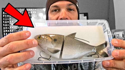 Artificial LURE vs. REAL SHAD Swimbait!?!?  (Winter Swimbait Fishing)
