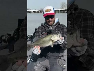 These Type Of BITES Keep Me Up At Night