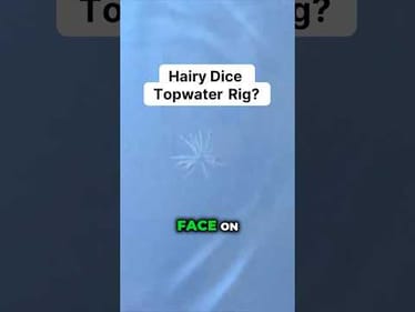 Hairy Topwater Rig?