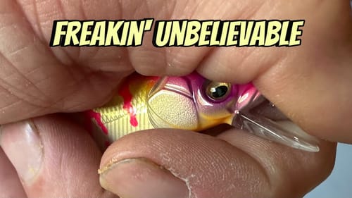 Best Jerkbait Color Ever…