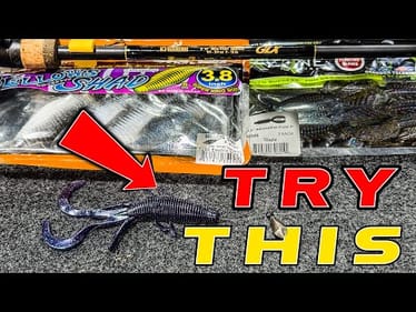 Free Rig Fishing For Bass! Tips And Tricks To Catch More Bass This Fall!!