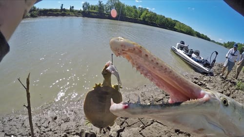 Mud Bank River Fishing - PB Gar and Soft Shell Turtle?...