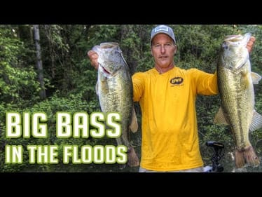 Bass Fishing Flooded Cover during Rising Water (FLIPPING BUSHES)