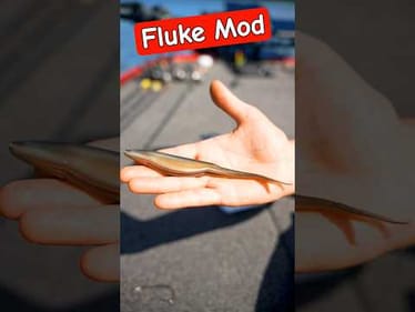 FLUKE Trick for Bass Fishing 🔥
