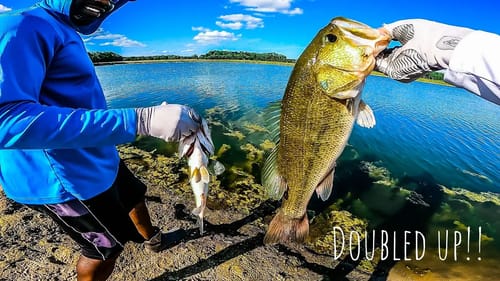 FIRE POND Is LOADED With BIG BASS!! || Summertime Bass Fishing