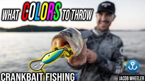 How to Choose which Color Crankbait for Any Situation (Bass Fishing)