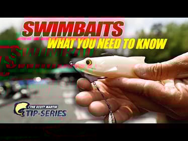 How to Catch More Big Fish with Swimbaits