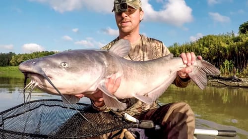 Fishing For A Muddy River Monster!