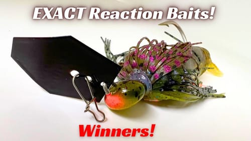 These EXACT Baits Create Reaction Strikes!