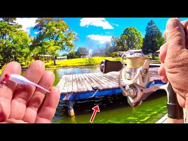 A MAJOR Crappie Hotspot! How To Catch SO MANY Crappie Easy