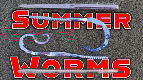 Big Worms for Summer Bass Fishing! (Texas Rig, Carolina Rig, Shaky Head)