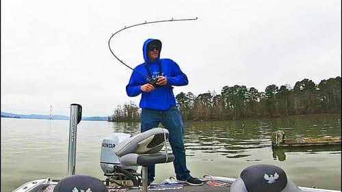 Lake GUNTERSVILLE Pre-BASSMASTER Classic Bass Fishing! (Cold Conditions)