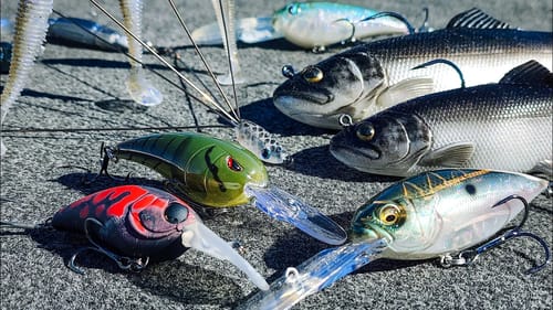 3 Winter Power Fishing Tricks That Change Everything!!
