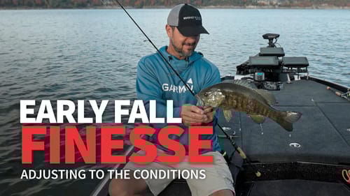 Early Fall FINESSE Fishing (Adjusting to the Conditions)