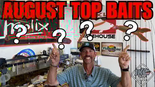 Top Bass Fishing Baits for August!!! (MUST HAVE!)
