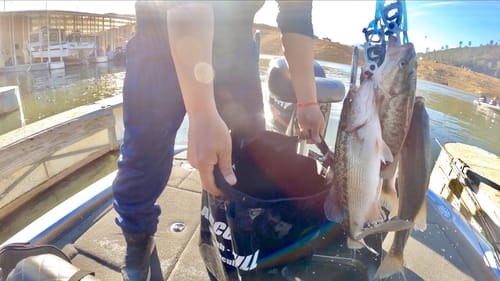 Double Header Weekend on Lake Shasta | Phils Prop Team Tournament Vlog