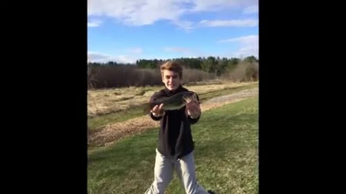 How to catch Spring Bass "4 STEPS"