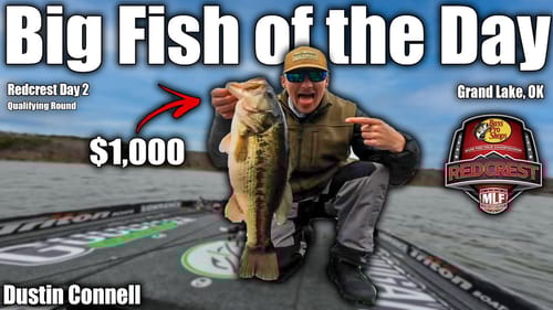 $1,000 Big Fish - MLF 2022 REDCREST - Qualifying Day 2