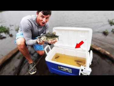 *Fish Relocation*  From Drying Up Pond (Lives Saved!)