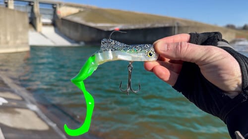 The Fish Of 10,000 Casts!!! (BUCKET List NEW Species!)
