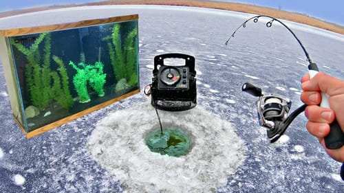 Pond Ice Fishing for NEW Pet Fish!!! (5 NEW SPECIES!)