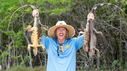 Hunting Iguana on an Island Farm with Air Rifle