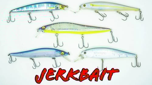 Buyer's Guide: Best Jerkbaits For Bass Fishing