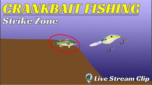 #1 Reason Anglers Struggle With Crankbaits | FTM Live Stream #73