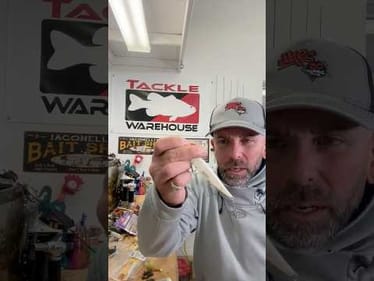 January TOP 4 Baits! Today at NOON!