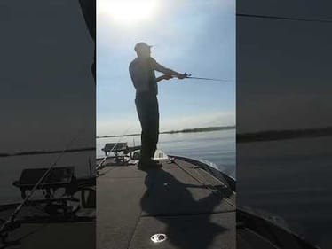 HIGHLIGHTS! Flipping & Froggin Heavy Cover in FL