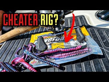 This Rig is a CHEAT CODE for Bass NOW!