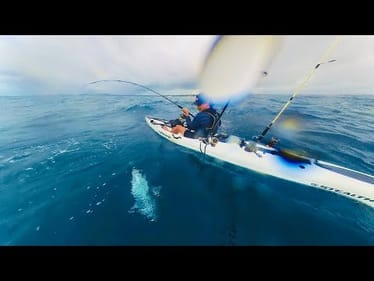 Stormy Days Fish THE BEST - Catch & Cook