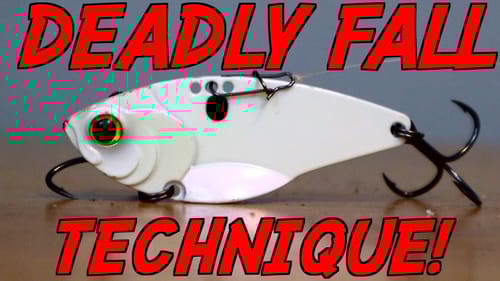 My FAVORITE Technique for Fall Bass Fishing!