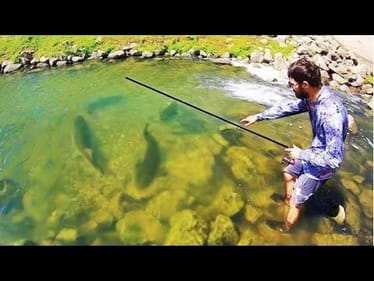 The FISH OF MY DREAMS in a TINY CLEAR WATER POND!!