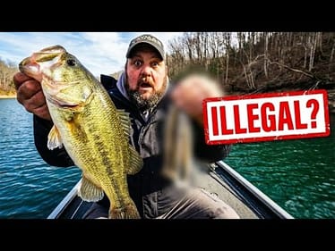 Bass Fishing Just Changed With This Rig