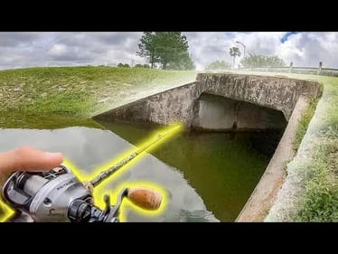 TUNNEL FISHING with a TOPWATER! (BIG FISH)