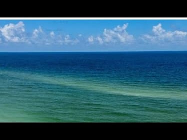 You Won’t Believe What Happened To Me When I Ran My Bass Boat Into The Gulf Of Mexico…