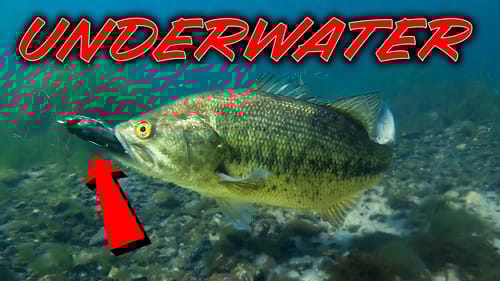 ** UNDERWATER Bass Fishing ** Spring Fishing Tips and Spawning Bass!