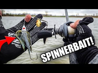 Bank Fishing with a Spinnerbait (Subscriber Lure Challenge)
