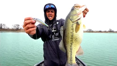 Urban Pond Bass DESTROY Jerkbaits!!! SHOCKING Epic Day!