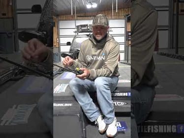 Be on the Lookout for Birds 🦢