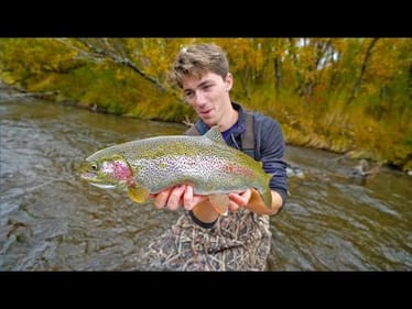 Creek Fishing The Arctic Tundra For Rainbow Fish
