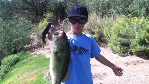 Fall Bass Fishing With Swimbaits