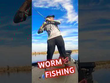 Worm 🪱 Fishing Lake Okeechobee #short #bassfishing #okeechobee