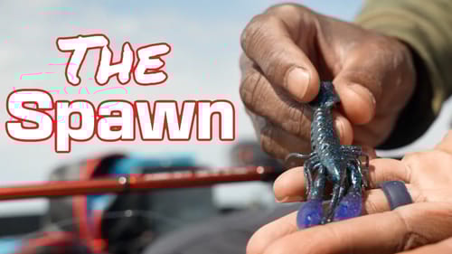 Bass LOVE these Crawfish Imitators